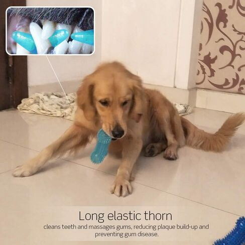 Squeaky Dog Toy Bone Shape, TPR Bouncy Ball, Teeth Cleaning, Length 16.0cm, for Medium to Medium-Large Sized Dogs,Random Color – Pack of 3 in Kuwait