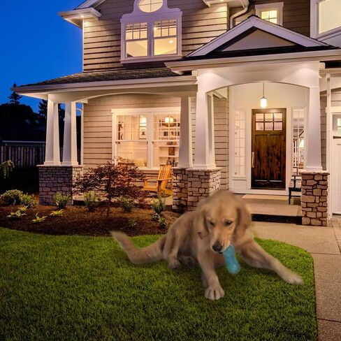 Squeaky Dog Toy Bone Shape, TPR Bouncy Ball, Teeth Cleaning, Length 16.0cm, for Medium to Medium-Large Sized Dogs,Random Color – Pack of 3 in Kuwait