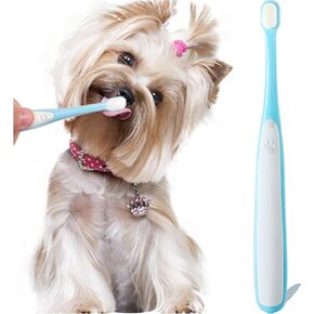 فرشاة أسنان صغيرة للكلاب ، مجموعة أسنان للقطط واللوبي ، فرشاة أسنان ناعمة وميكنة للقطار الصغيرة والحيوانات الأليفة الصغيرة ، فرشاة أسنان دوغية تنظيف أسنان عميقة ، شعيرات ناعمة ، 2 أجهزة كمبيوتر - زرقاء - زرقاء - زرقاء in Kuwait