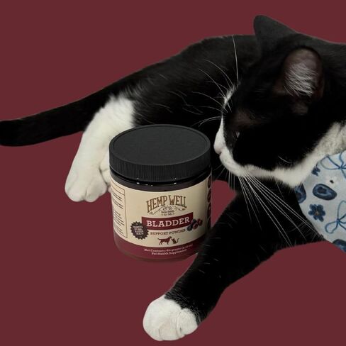 Hemp Well Bladder Support Powder - Urinary Health Support for Dogs & Cats, 2.11 oz. in Kuwait