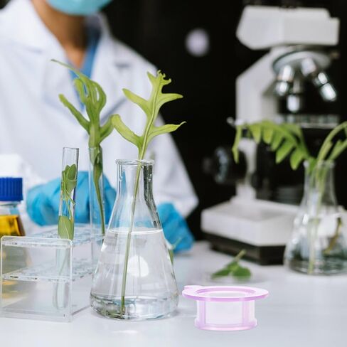 3pcs Disposable Cell Strainer with Mesh Filters for Laboratory Cell Screening Use Filters for Science Experiments and Classroom Teaching in Kuwait