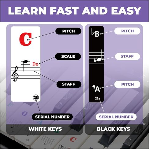 Liquid Stands Piano Note Stickers for 37-49-54-61-88 Keys – Piano Keyboard Stickers for Learning, Clear Waterproof Vinyl for Black & White Keys – No Fading, Strong Adhesive, Leaves No Residue in Kuwait