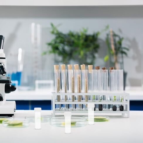 50pcs Plastic Culture Tubes with Caps Ps Construction Lab Propagation Tubes with Pe Leak-Proof Seal for Laboratory Sample Storage and Experiment Use in Saudi Arabia
