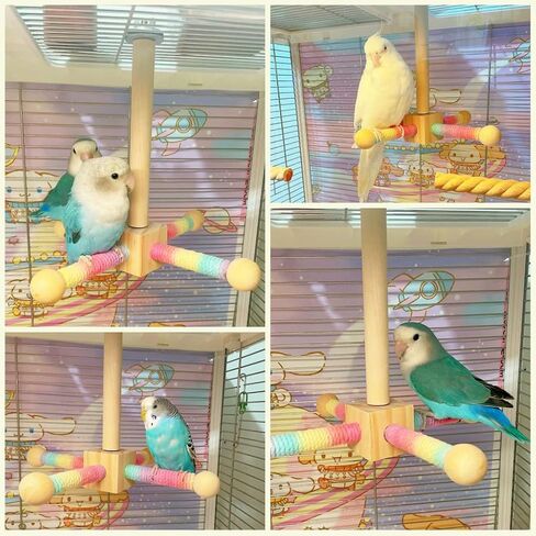 Bird Stand Perch, Portable Tabletop Bird Perch,Interactive Spin Training Bird Toys for Small Medium Parrots Parakeets Conures Lovebirds or Cockatiels in Kuwait