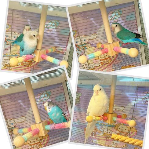 Bird Stand Perch, Portable Tabletop Bird Perch,Interactive Spin Training Bird Toys for Small Medium Parrots Parakeets Conures Lovebirds or Cockatiels in Kuwait