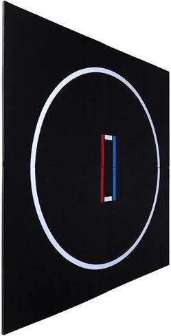 1.18In Thick Portable Wrestling Mat (10x10/6.6x10ft) Foldable Roll-Up Design for Grappling BJJ Boxing Gymnastics & Home Exercise in Saudi Arabia