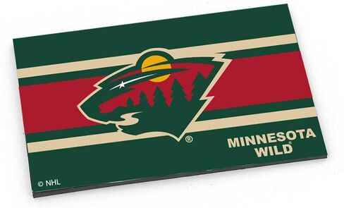 Aminco NHL Minnesota Wild Striped Magnet in Saudi Arabia