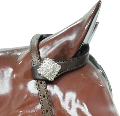 مجموعة تثبيت الرأس وياقة الصدر من الجلد الغربي، جلد بني ناعم مع طوق صدر بنمط المصارع، تصميم قابل للتخصيص، مصنوع يدويًا بحجم حصان كامل in Kuwait