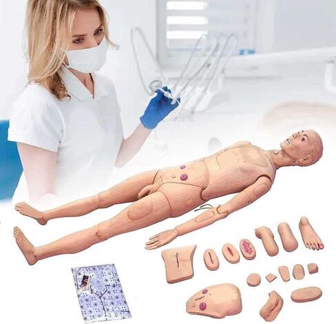 Patient Care Manikin, 5.57ft CPR Simulator, with Male and Female Interchangeable Organs, for Nursing Training in Saudi Arabia