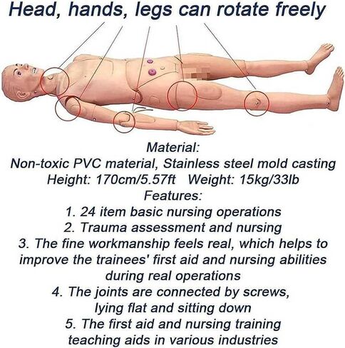 Patient Care Manikin, 5.57ft CPR Simulator, with Male and Female Interchangeable Organs, for Nursing Training in Saudi Arabia