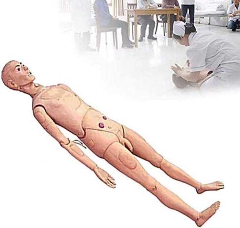 Multi-Functional Patient Care Manikin, CPR Simulator with Male and Female Interchangeable Organs, for Nursing Medical Training in Saudi Arabia