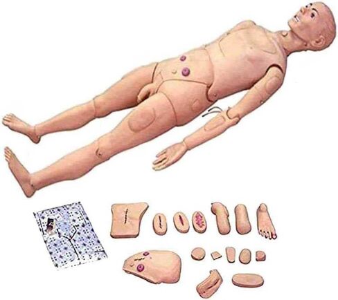 Multi-Functional Patient Care Manikin, CPR Simulator with Male and Female Interchangeable Organs, for Nursing Medical Training in Saudi Arabia