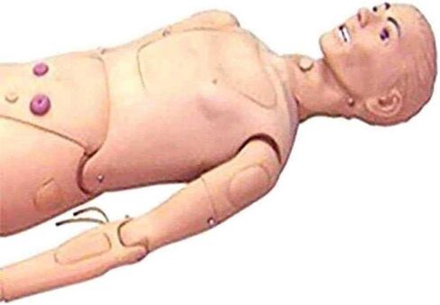 Multi-Functional Patient Care Manikin, CPR Simulator with Male and Female Interchangeable Organs, for Nursing Medical Training in Saudi Arabia
