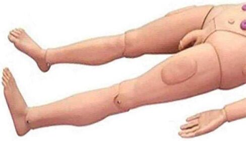 Multi-Functional Patient Care Manikin, CPR Simulator with Male and Female Interchangeable Organs, for Nursing Medical Training in Saudi Arabia