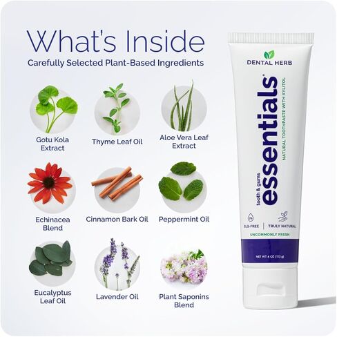 Essentials Fluoride-Free Toothpaste, Plant-Based Daily Toothpaste for Fresh Breath, SLS-Free, Clean Ingredients, 4 oz, by Dental Herb Company in Kuwait