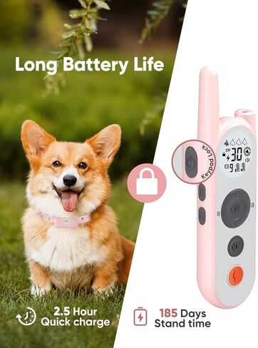 نظام سياج الكلب اللاسلكي سياج كهربائي للكلاب طوق صدمة 6000 قدم للكلاب طوق تدريب مع حدود نظام احتواء الحيوانات الأليفة آمنة مقاوم للماء. in Kuwait