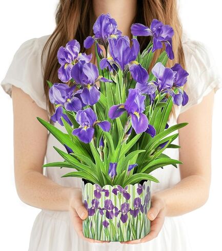 3D Greeting Cards Pop Up Cards 16" Iris Paper Flower Bouquet Gifts for Women Mom Wife Birthday, Anniversary, Get Well Cards with Note Card & Envelope, Romantic Iris in Kuwait
