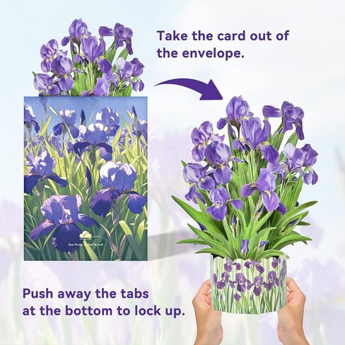 3D Greeting Cards Pop Up Cards 16" Iris Paper Flower Bouquet Gifts for Women Mom Wife Birthday, Anniversary, Get Well Cards with Note Card & Envelope, Romantic Iris in Kuwait