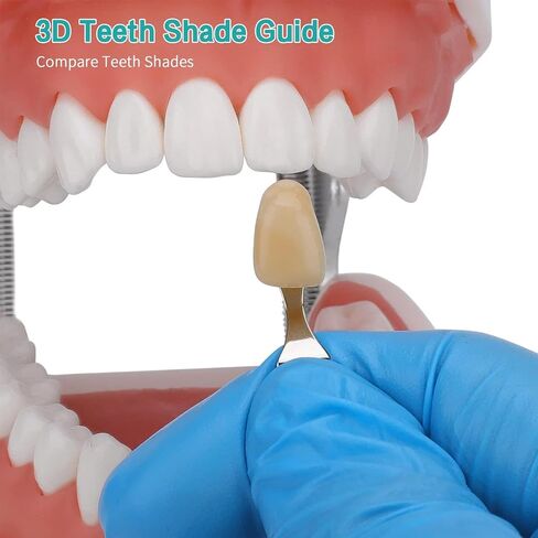 20 Colors Dental Teeth Shade Guide Model, 3D Professional Teeth Whitening Tracking Chart Tooth Color Compare Materials Oral Care Dentist Tools in Kuwait