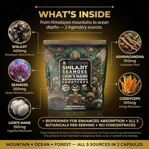 مجمع فطر عرف الأسد مع طحالب البحر والأشواغاندا والكورديسيبس + شيلاجيت - 120 كبسولة نباتية للطاقة والتركيز ودعم التكيف in Kuwait