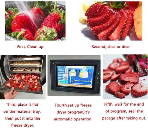 Commercial Freeze Drying Machine, 8 Trays, 88.1-99.2 lbs, All-Weather Food Storage, Perfect for Fruits, Meats, Candies & Vegetables, Home & Business Use in Saudi Arabia