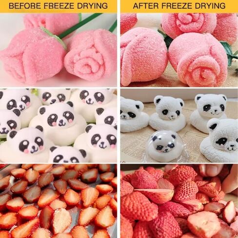 Commercial Freeze Drying Machine, 8 Trays, 88.1-99.2 lbs, All-Weather Food Storage, Perfect for Fruits, Meats, Candies & Vegetables, Home & Business Use in Saudi Arabia