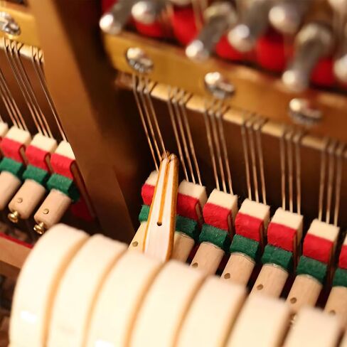 Piano Tuning Kit Wrench Music Accessories Hammer Tuner kit 14pcs (Piano Tuning Kit 14pcs) in Kuwait