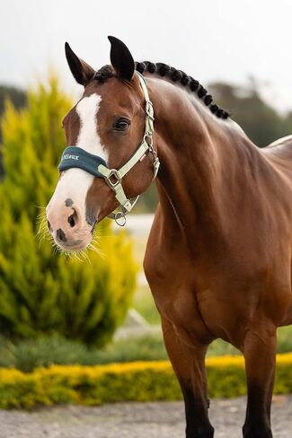 LeMieux Vogue Fleece Headcollar - Halter & Leadrope - Extra Padding, Adjustable at Curb and Poll Strap in Saudi Arabia