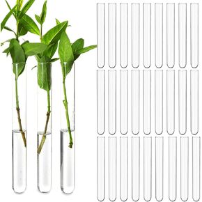 30 قطعة من أنابيب اختبار بلاستيكية شفافة سعة 15 مل لنشر النباتات، مزهريات الزهور المائية، أنابيب سفلية مستديرة للتجارب العلمية، تخزين خرز الحلوى، ديكور جدار المكتب المنزلي (5.9 بوصة، 0.63 بوصة قطر) in Kuwait
