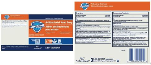 سيف جارد صابون اليد المضاد للبكتيريا، 1 جالون in Kuwait