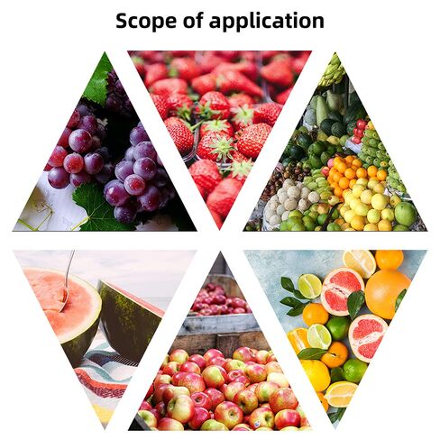 Fruit Hardness Tester Fruit Penetrometer Sclerometer Hand Fruit Durometer Hardness Tester Two Pressure Head SR 8mm SR 11mm 0.5-12kg/cm2 and 1-24kg/cm2 Fruit Hardness Tester Meter Gage in Kuwait