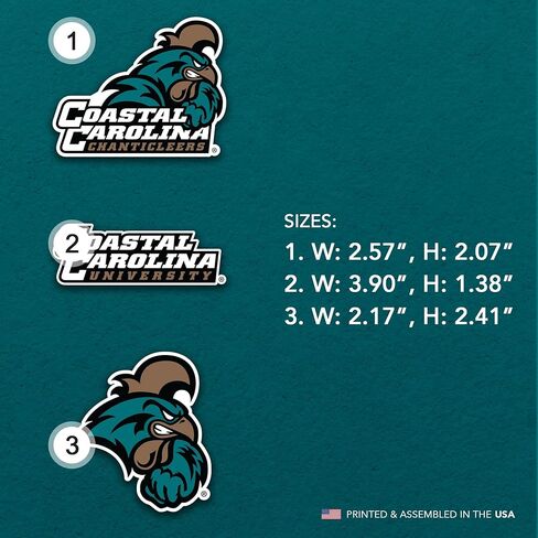 Desert Cactus Coastal Carolina University Acrylic Magnet 3 Pack CCU Chanticleers Decorative Design Officially Licensed (Magnet Set A) in Saudi Arabia