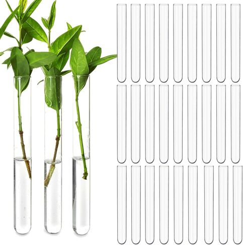 30 قطعة من أنابيب اختبار بلاستيكية شفافة سعة 15 مل لنشر النباتات، مزهريات الزهور المائية، أنابيب سفلية مستديرة للتجارب العلمية، تخزين خرز الحلوى، ديكور جدار المكتب المنزلي (5.9 بوصة، 0.63 بوصة قطر) in Kuwait