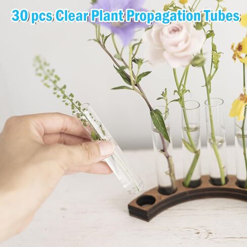 30 قطعة من أنابيب اختبار بلاستيكية شفافة سعة 15 مل لنشر النباتات، مزهريات الزهور المائية، أنابيب سفلية مستديرة للتجارب العلمية، تخزين خرز الحلوى، ديكور جدار المكتب المنزلي (5.9 بوصة، 0.63 بوصة قطر) in Kuwait
