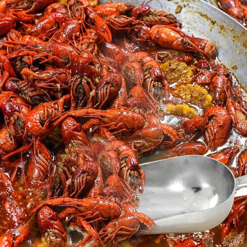 2 Pcs 58-ounce Metal Ice Scoop Large Crawfish Scoop Aluminum Utility Scooper Round Bottom Crawfish Boil Party Supplies for Pet Food Rock Salt Seafood Cat Litter Kitchen Bar Ice Machine in Kuwait