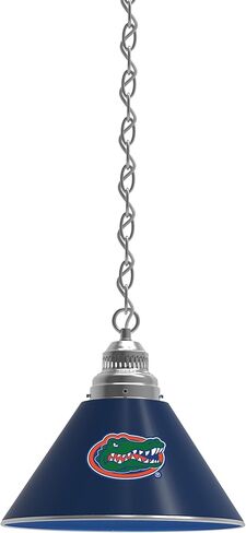 HBS University of Florida Single Shade Pendant Light in Kuwait