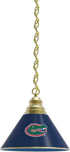 HBS University of Florida Single Shade Pendant Light in Saudi Arabia