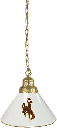 HBS University of Wyoming Single Shade Pendant Light in Saudi Arabia