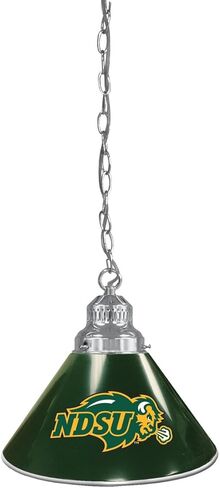 HBS North Dakota State University (G) Single Shade Pendant Light in Saudi Arabia