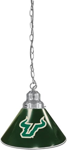 HBS University of South Florida Single Shade Pendant Light in Saudi Arabia
