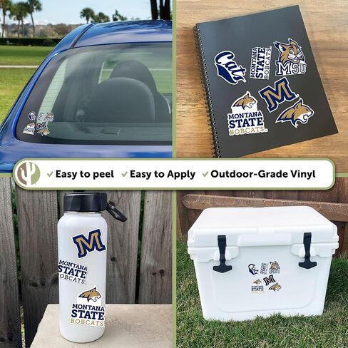 ملصق جامعة ولاية صبار الصحراء مونتانا بوبكاتس MSUr شارات الفينيل زجاجة مياه للكمبيوتر المحمول ورقة قصاصات السيارة T2 (النوع 2-3) in Kuwait