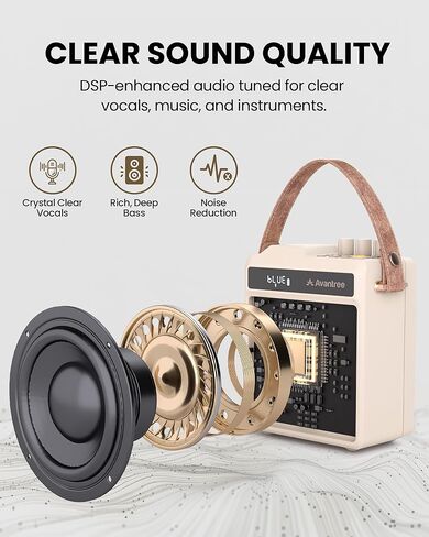 Avantree VoxAmp Duo – Portable Wireless Voice Amplifier Microphone & Speaker Set for Classroom, Small Events & Parties, USB Recording & Playback, 30W Clear Voice & Rich Sound, 14H Battery in Saudi Arabia