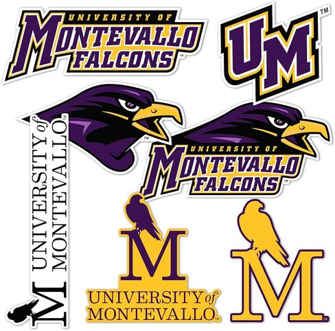 ملصق جامعة صبار الصحراء مونتيفالو UM Falcons شارات الفينيل زجاجة مياه للكمبيوتر المحمول سجل قصاصات السيارة T2 (النوع 2-2) in Kuwait