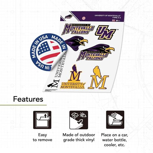ملصق جامعة صبار الصحراء مونتيفالو UM Falcons شارات الفينيل زجاجة مياه للكمبيوتر المحمول سجل قصاصات السيارة T2 (النوع 2-2) in Kuwait