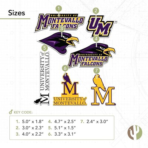 ملصق جامعة صبار الصحراء مونتيفالو UM Falcons شارات الفينيل زجاجة مياه للكمبيوتر المحمول سجل قصاصات السيارة T2 (النوع 2-2) in Kuwait