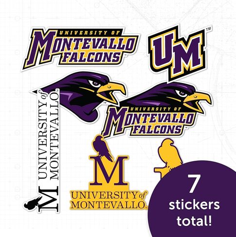 ملصق جامعة صبار الصحراء مونتيفالو UM Falcons شارات الفينيل زجاجة مياه للكمبيوتر المحمول سجل قصاصات السيارة T2 (النوع 2-2) in Kuwait