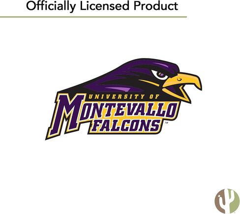 ملصق جامعة صبار الصحراء مونتيفالو UM Falcons شارات الفينيل زجاجة مياه للكمبيوتر المحمول سجل قصاصات السيارة T2 (النوع 2-2) in Kuwait