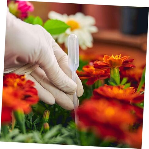 205 قطعة من الماصات البلاستيكية المتدرجة سعة 3 مل للاستعمال مرة واحدة مع 5 أقماع صغيرة، وقطارات نقل 150 مم للمختبر، والزيوت العطرية، والكيمياء، والتعامل مع السوائل in Kuwait