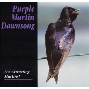 Purple Martin Conservation Products - Dawn Song CD - Purple Martin Attractors in Saudi Arabia