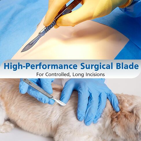 شفرة مشرط جراحي من سوان مورتون #23 - أدوات احترافية للجراحين، معقمة للاستخدام الطبي، فولاذ كربوني - مغلفة بشكل فردي، صندوق مكون من 100 قطعة in Kuwait